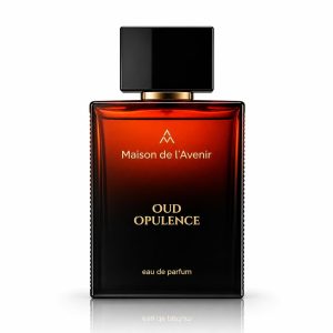Maison de l’Avenir Oud Opulen...