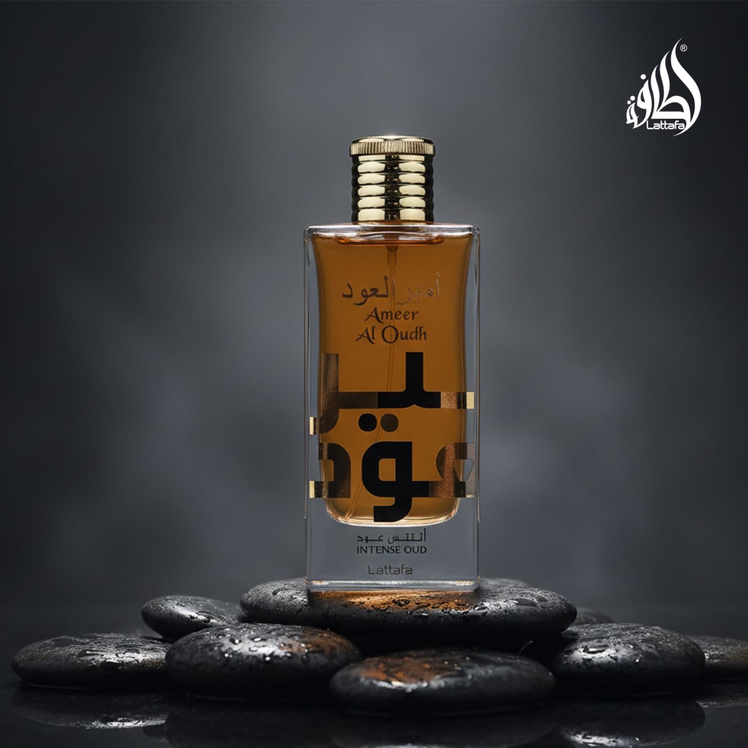Lattafa Ameer Al Oud Intense Oud for Unisex Eau de Parfum Spray, 3.4 Ounce - Image 7