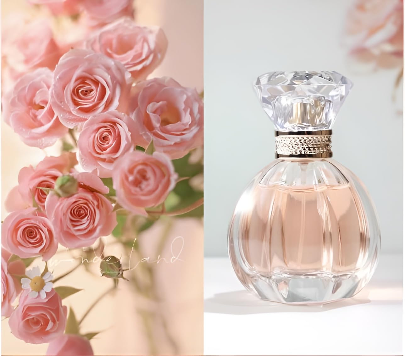 Fresh Floral Perfume for Women - Everyday Office Fragrance Wear, Light & Sweet Non-Powdery Scent, 1.7oz/50ml Eau de Parfum Spray (Rose) - Image 2