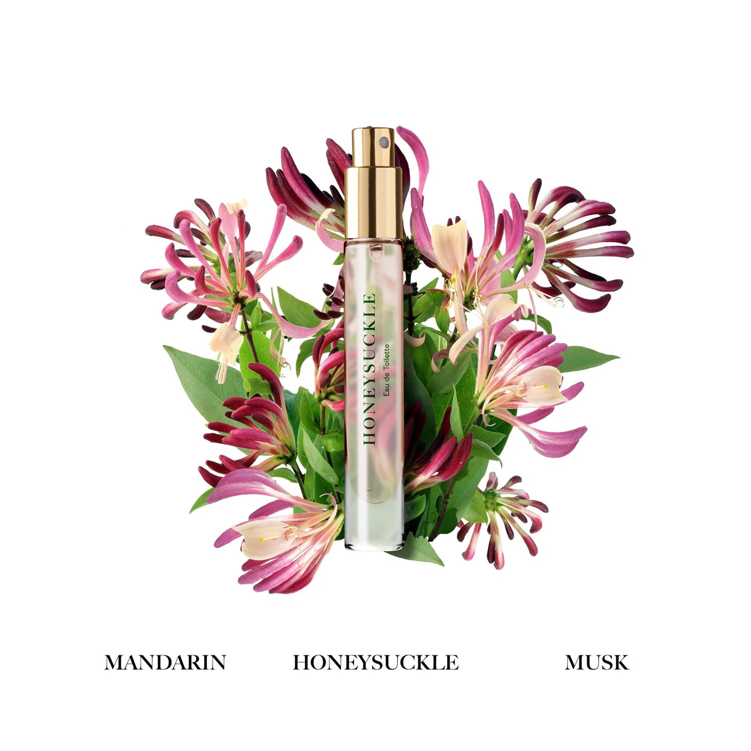Caswell-Massey Floral Discovery Set – Includes Gardenia, Lilac & Honeysuckle – Travel Size Perfume for Women, Elegant Floral Scents – Botanical Perfume Gift Set – Made in USA, 0.25 Fl Oz Each - Image 6