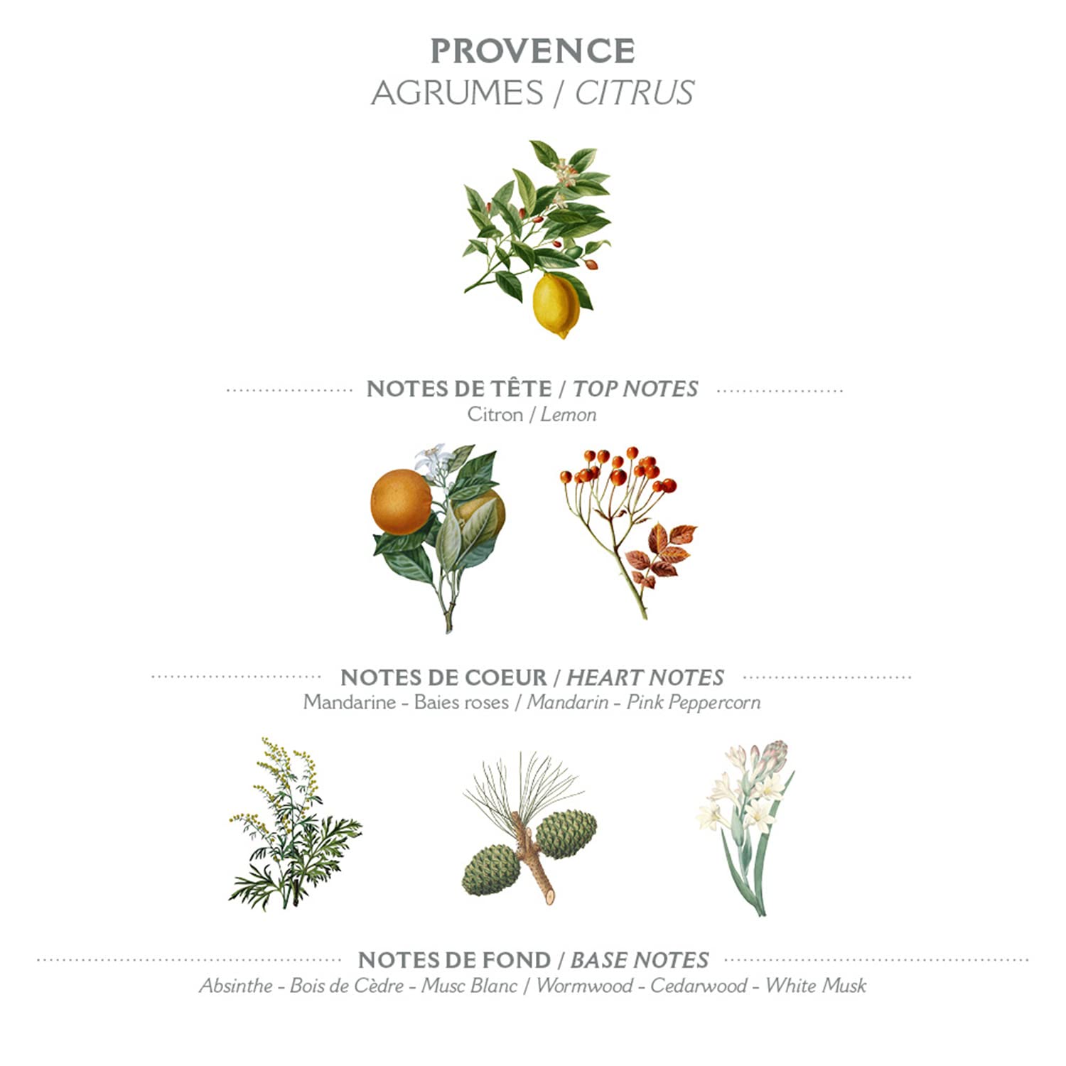 Panier des Sens Provence Citrus Roll-On Eau de Toilette, 0.3 fl oz | Light Travel-Size Perfume For Women | Fresh & Zesty Fragrance | Ideal For Touch-Ups Throughout The Day - Image 2