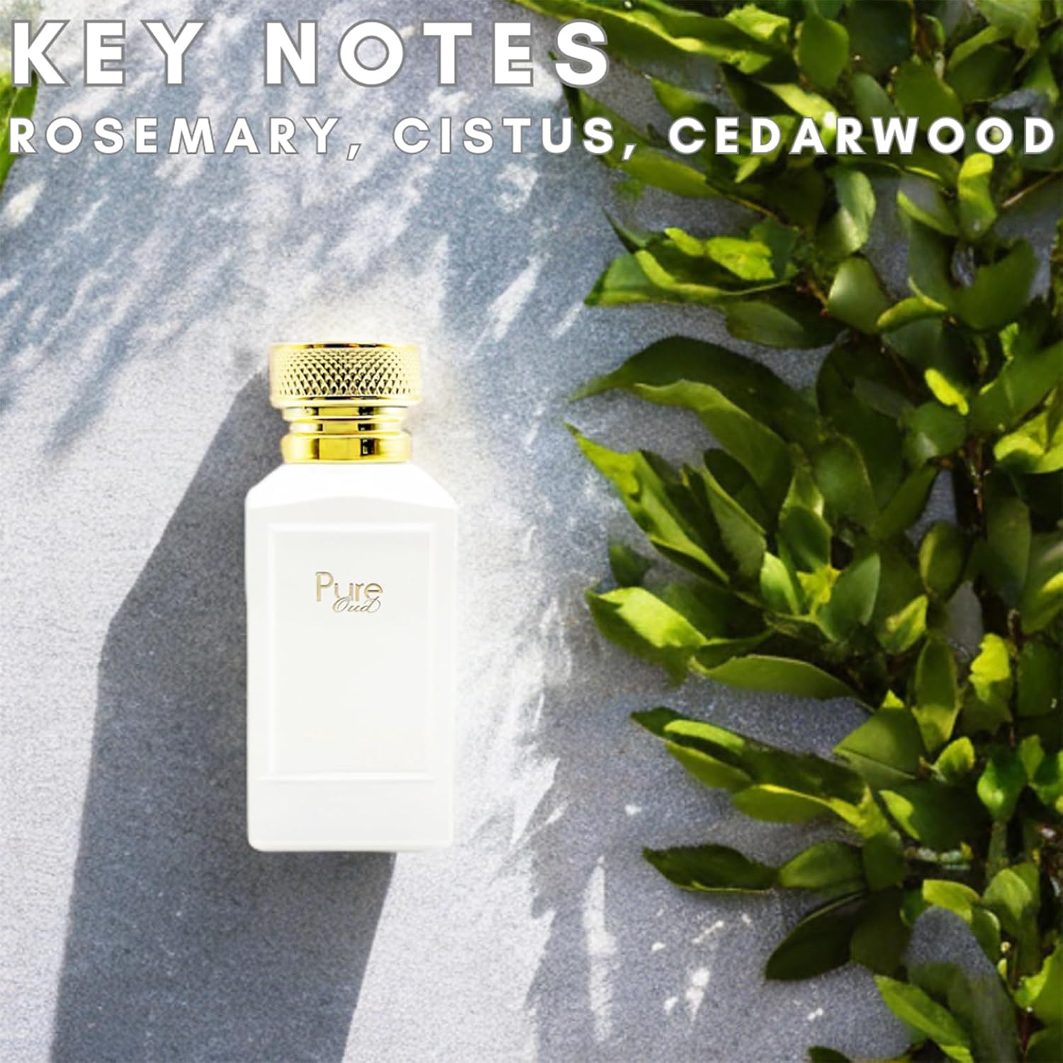 Fine Perfumery Pure Oud - Long Lasting Perfume for Women - Oud Cologne for Men - Amber Woody Fragrances - Women's Perfume - Mens Cologne - 3.4 oz - Image 2
