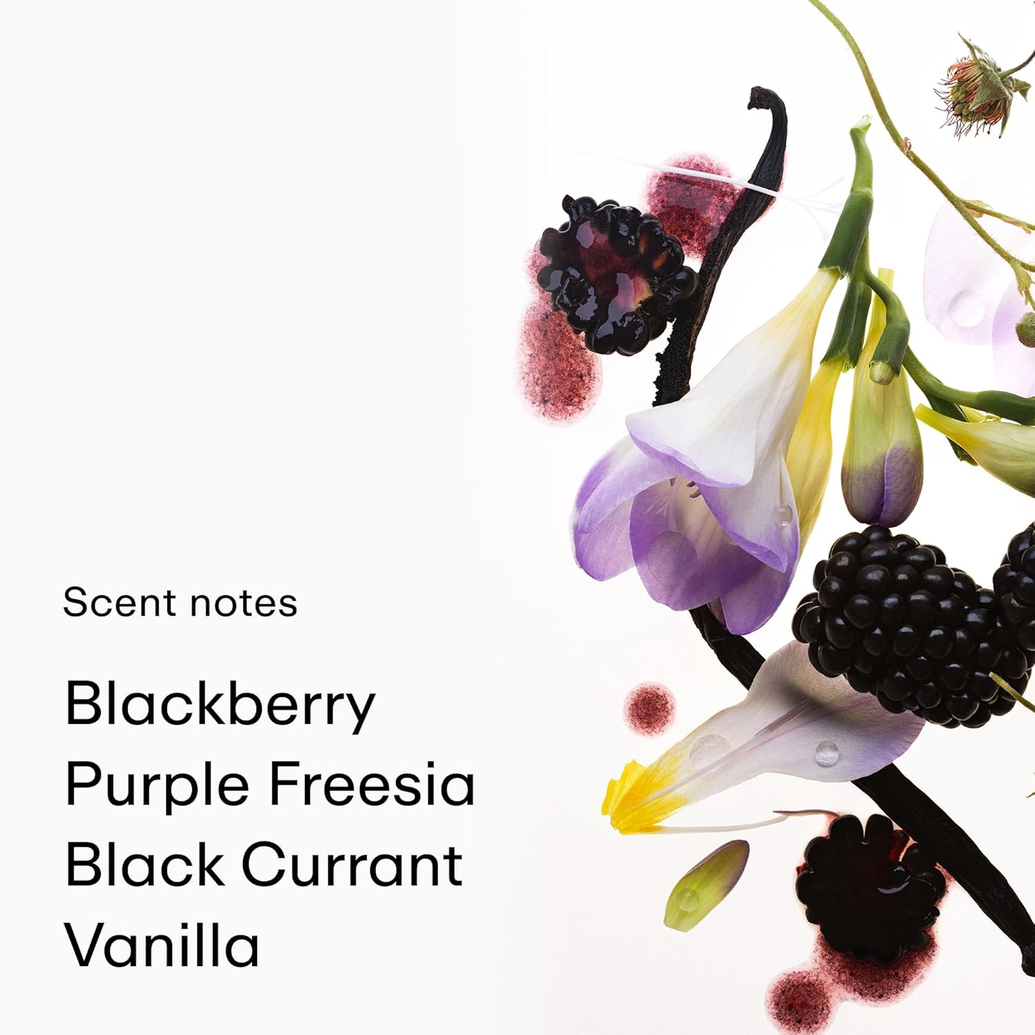 PHLUR Vanilla Blackberry Body Mist, 8 Fl Oz - Hair and Body Perfume | Vanilla Perfume Body Spray with Blackberry, Raspberry Blossom and Warm Amber Fragrance - Image 3
