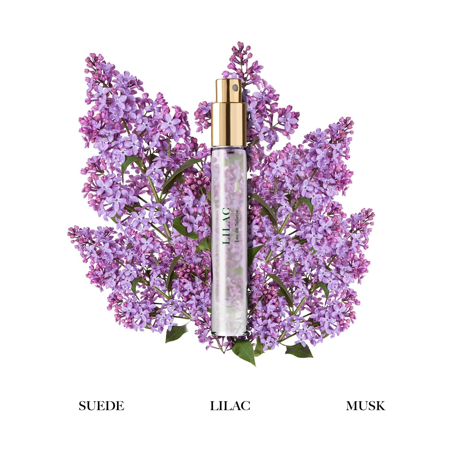 Caswell-Massey Floral Discovery Set – Includes Gardenia, Lilac & Honeysuckle – Travel Size Perfume for Women, Elegant Floral Scents – Botanical Perfume Gift Set – Made in USA, 0.25 Fl Oz Each - Image 4