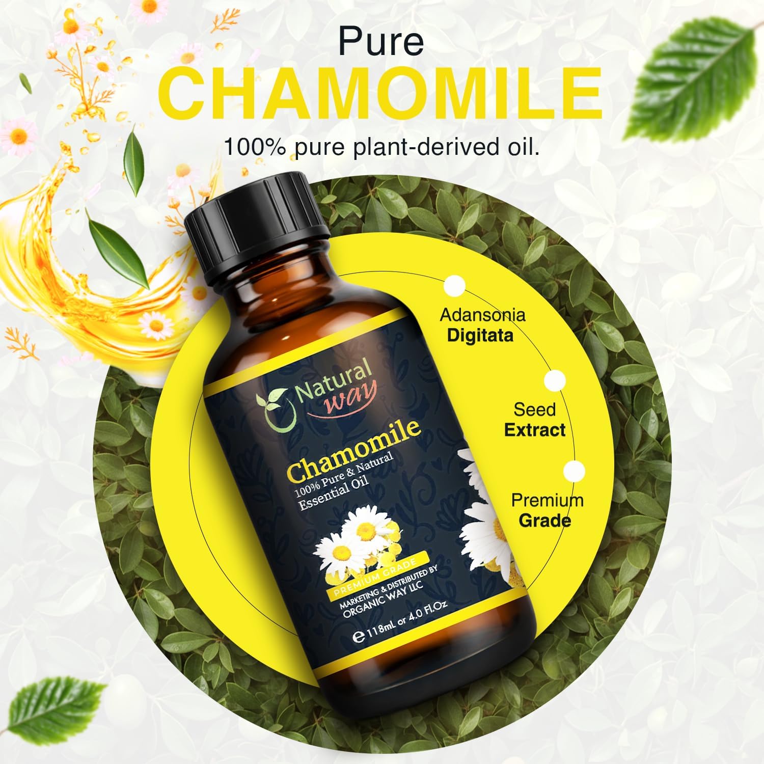 Chamomile Essential Oil | Pure Aromatherapy Oil for Diffusers, Hair Growth, Skin, Scalp Care, Massage | Refreshing Hair Oil for Women & Men | Natural Essential Oil for Diffuser | 4 Fl Oz (120 mL) - Image 2