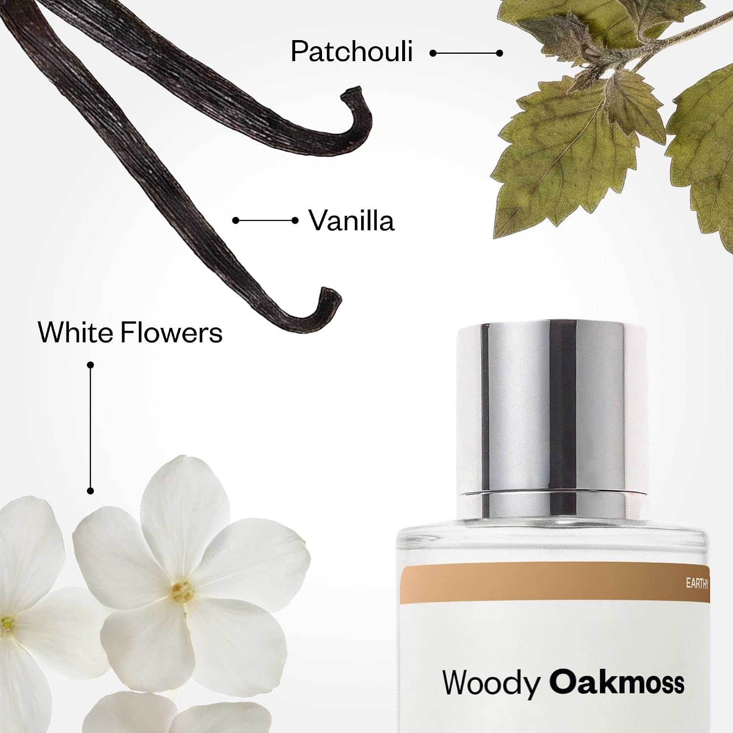 Dossier - Woody Oakmoss - Eau de Parfum - Inspired by Coco Mademoiselle - Long-Lasting Fragrance - Feminine - 1.7 fl oz (50ml) - Image 3