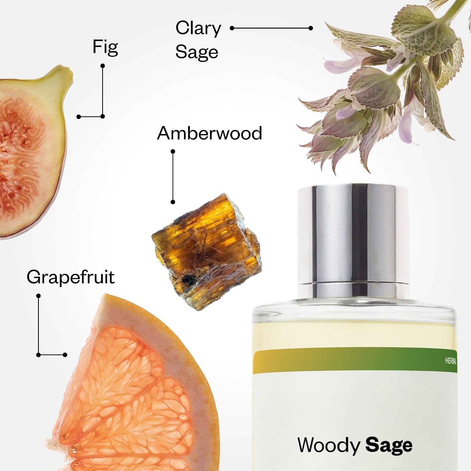Dossier - Woody Sage - Eau de Parfum - Inspired by Wood Sage & Sea Salt - Long-Lasting Fragrance - Unisex - 3.4 fl oz (100ml) - Image 3