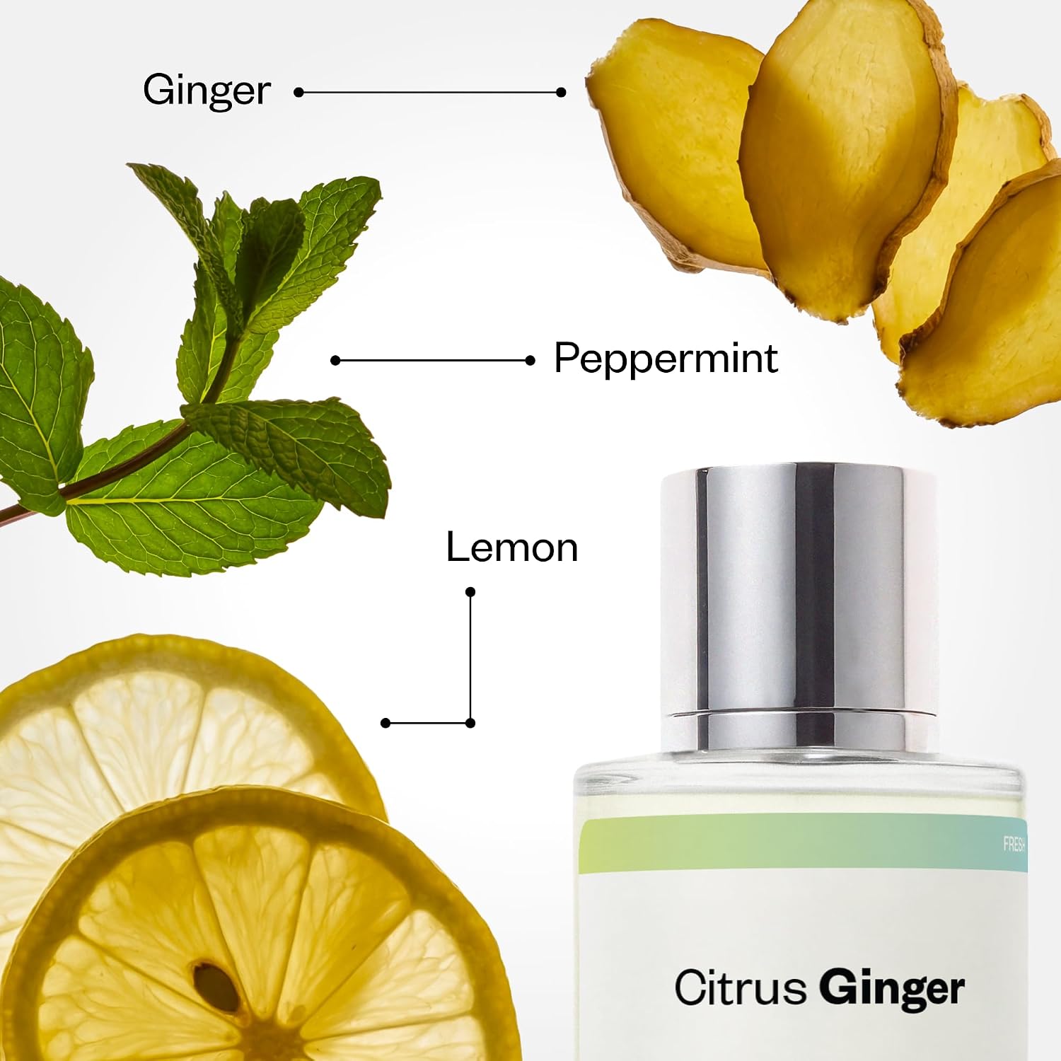 Dossier - Citrus Ginger - Eau de Parfum - Inspired by Bleu de Chanel - Long-Lasting Fragrance - Masculine - 1.7 fl oz (50ml) - Image 3
