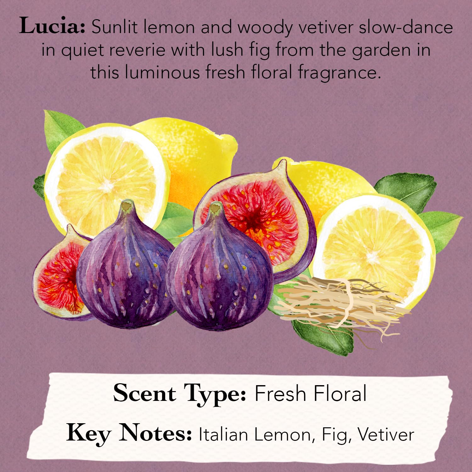 Tocca Women's Perfume Mini Discovery Sampler Set of 8, 1.5ml Each - Includes Cleopatra, Stella, Florence, Giulietta, Colette, Simone, Belle & Lucia - Image 8
