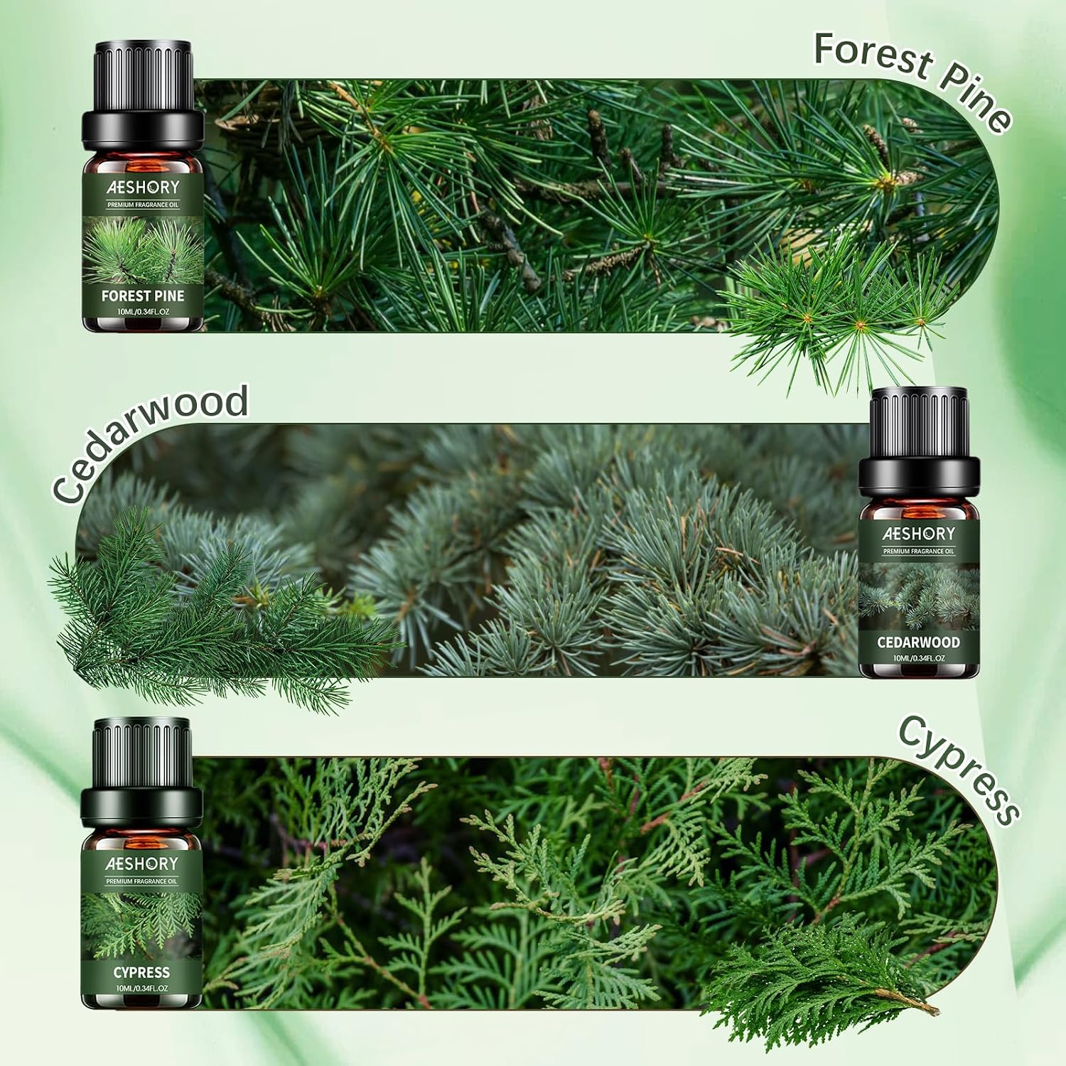 Woody Essential Oils Set - 6x10ML Woody Scents Fragrance Oil for Candle Making, Diffuser - Teakwood, Sandalwood, Cedarwood, Cyperss, Forest Pine, Frankincense Aromatherapy Oils - Image 3