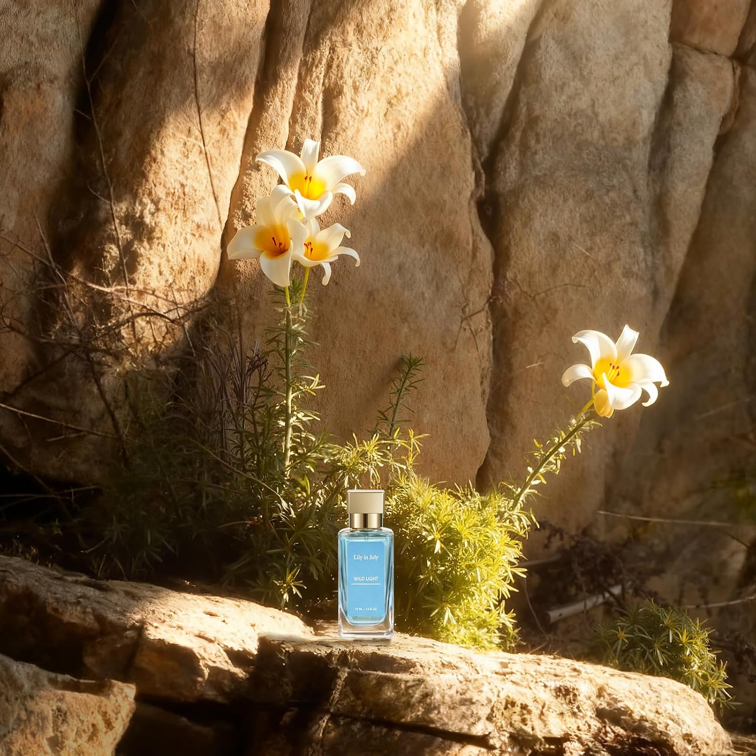 Wild Light Unisex Perfume, Clean Fresh Citrus Bergamot Lemon Fragrance, Light Everyday Scent for Men & Women, Office Friendly Summer Cologne with Cedarwood & Musk, 75ml - Image 4