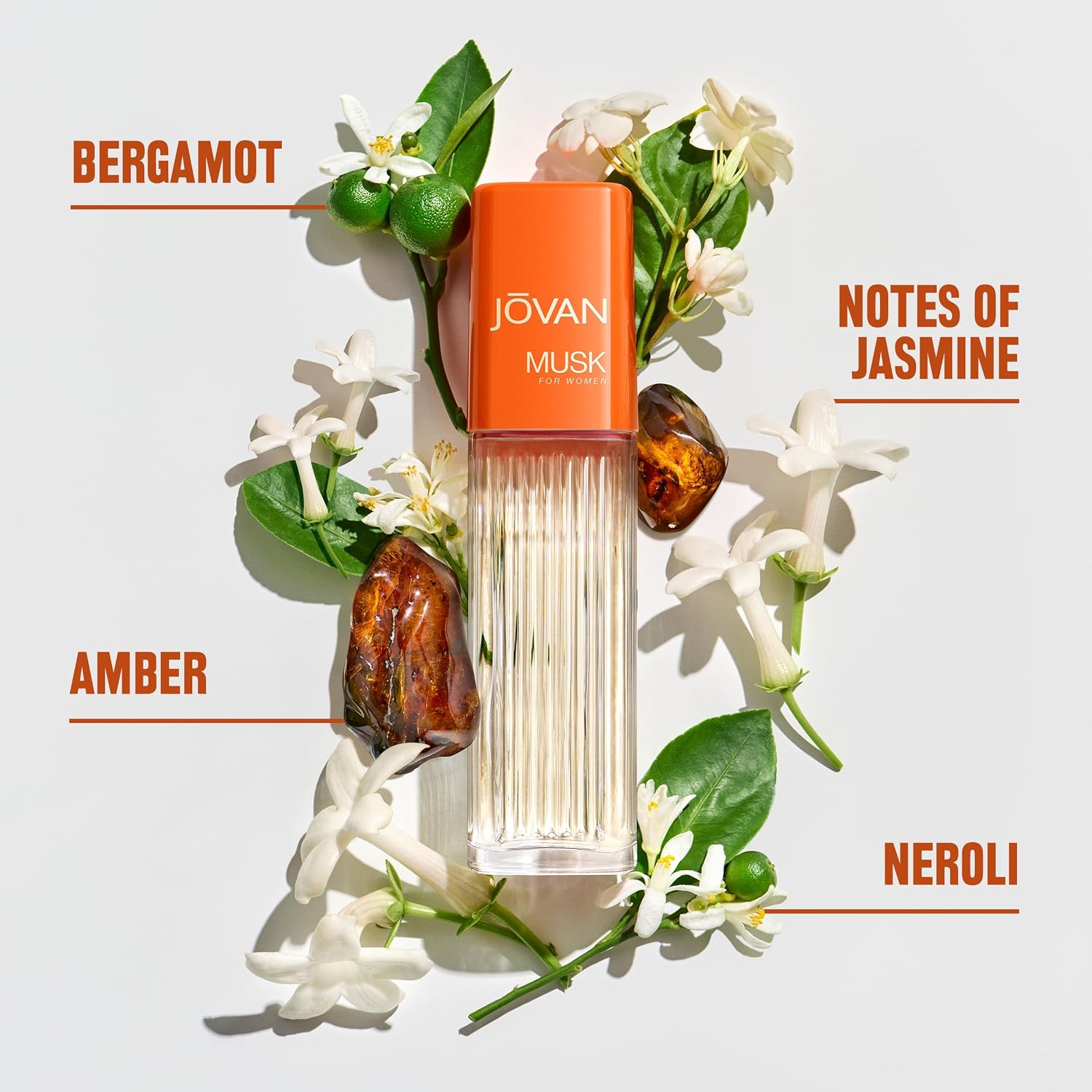 Jovan Musk for Women Eau de Cologne Spray 2 fl oz (Pack of 1), Sexy Perfume for Women, Notes of Jasmine, Amber, and Neroli, Women's Fragrance, Long Lasting, Everyday Fragrance, Travel Size - Image 2