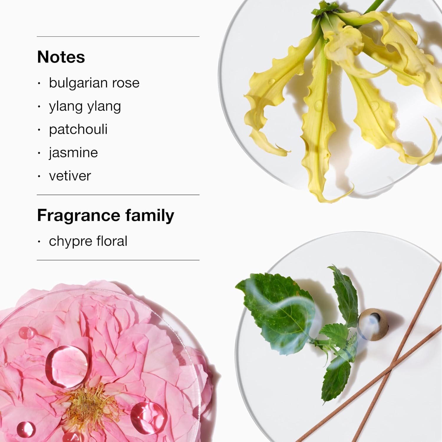 Clinique Aromatics Elixir Eau de Parfum Spray | Notes of Bulgarian Rose, Ylang Ylang, Patchouli, Jasmine + Vetiver | Perfumes for Women - Image 2
