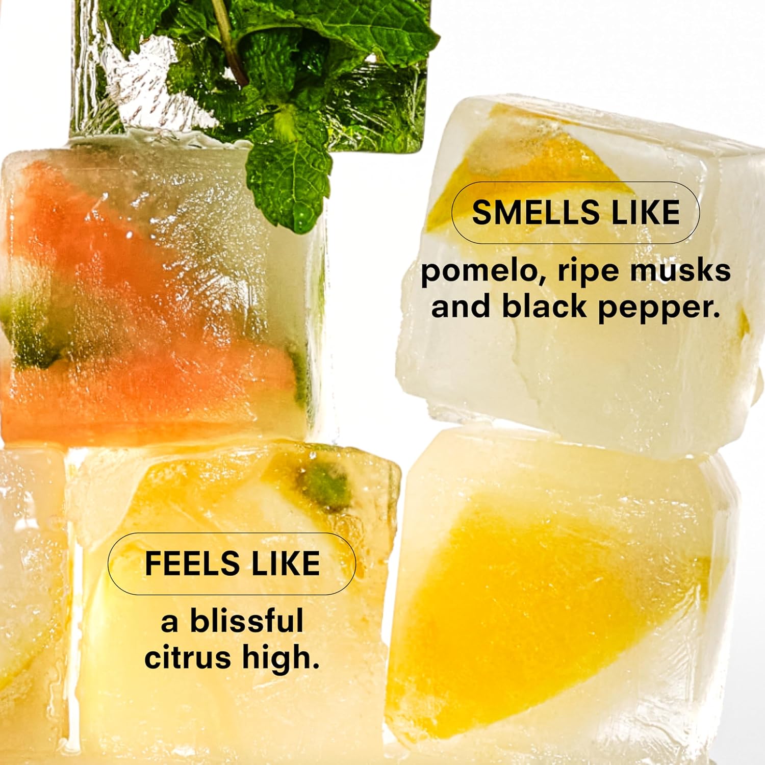 Boy Smells CITRUSH Eau de Parfum – Citrus Woody Fragrance with Pomelo, Black Pepper & Ripe Musk – Long-Lasting Unisex Perfume for Elevated Bliss - Image 2