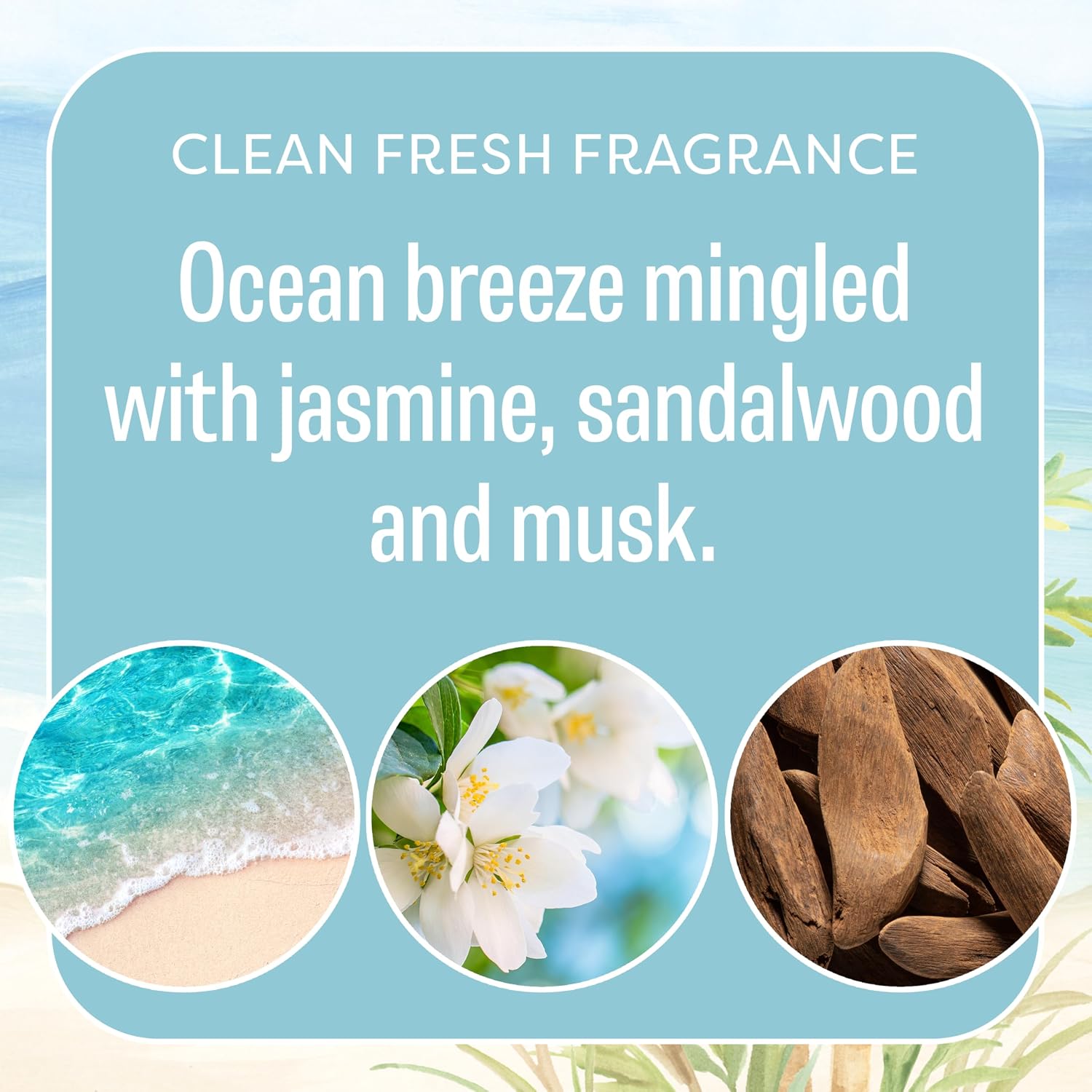 Fresh Scents Scented Sachets | Seaspray | Home Fragrance | Long Lasting (Up to 6 Months) | Air Freshener for Closets, Drawers, & Cars | 6 Pack - Image 4