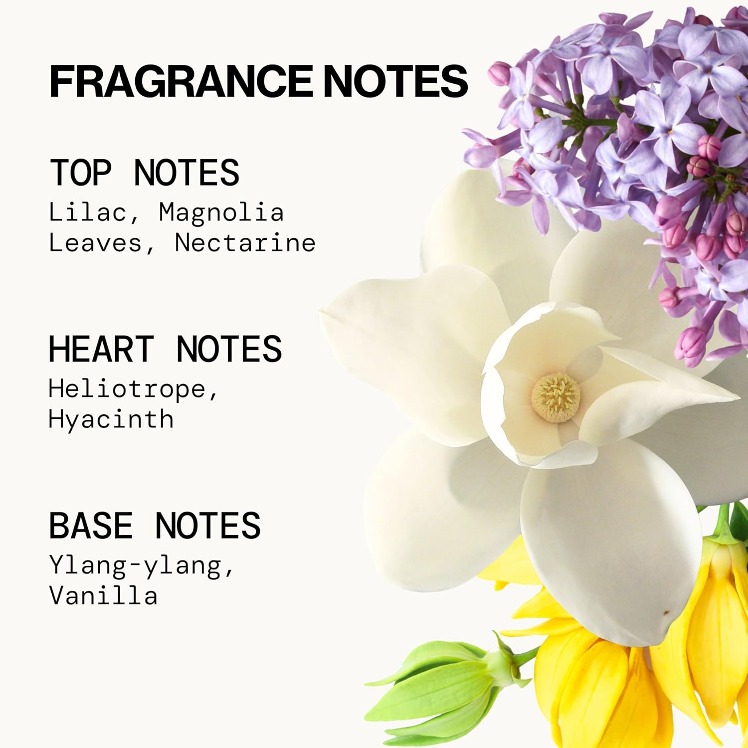 Pacifica French Lilac Hair & Body Mist – Clean Vegan Floral Hair Perfume Spray for Women, Fresh-Cut Lilac, Magnolia & Heliotrope Notes, Alcohol-Free Head-to-Toe Fragrance, Cruelty-Free, 6 Fl Oz - Image 8