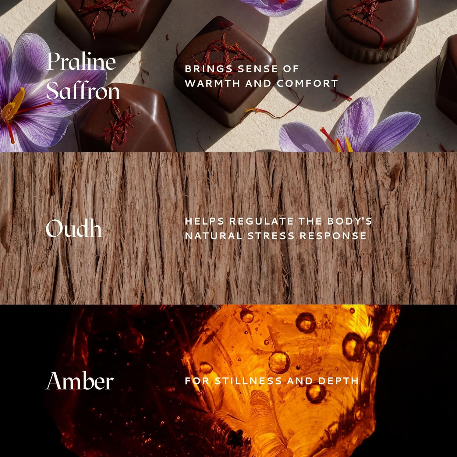 Caftari Oud Perfume Oil Rollerball | Scent of Nirvana | Oud, Musk, Amber & Saffron | Roll On Oil Perfume | Non Toxic Perfume | Alcohol-Free | 100% Jojoba Base | Unisex | Travel Ready 10 ml - Image 2