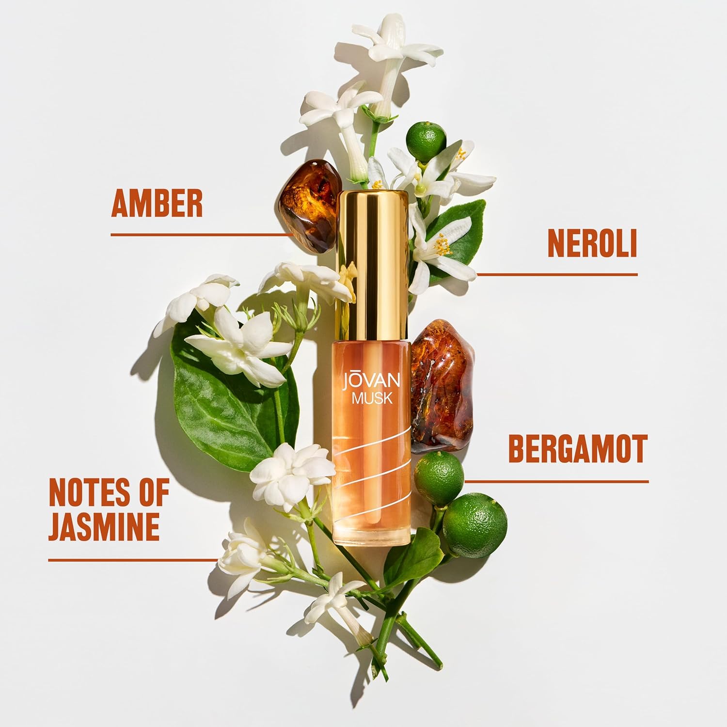 Jovan Musk for Women Perfume Oil 0.33 fl oz (Pack of 1), Sexy Perfume Oil for Women, Notes of Jasmine, Amber, and Neroli, Women's Fragrance, Long Lasting, Everyday Fragrance, Travel Size - Image 3