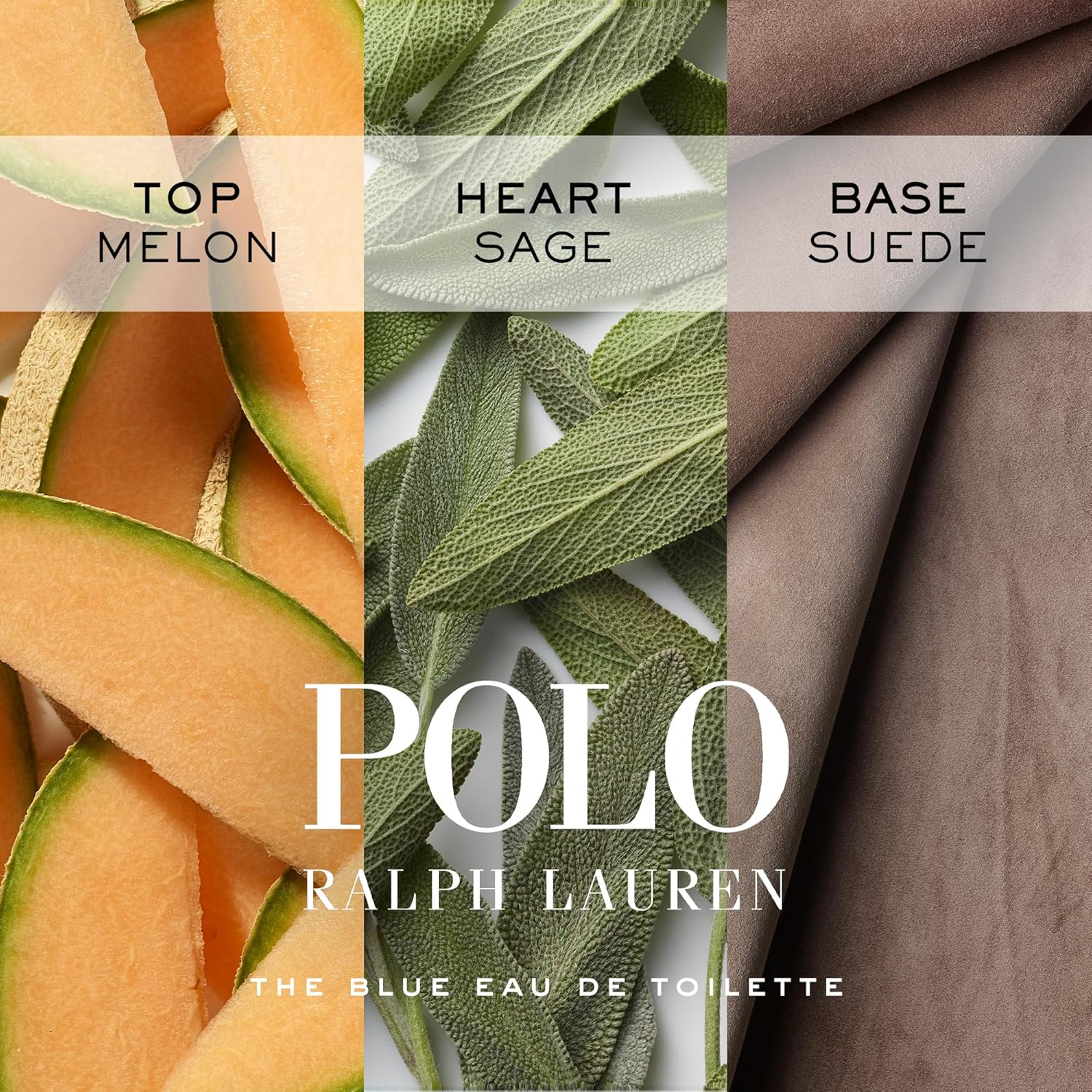 RALPH LAUREN FRAGRANCES - Polo Blue - Eau de Toilette - Men's Cologne - Aquatic & Fresh - With Citrus, Sage, and Suede - Medium Intensity - Image 4