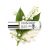 Herb & Root Lily of the Valley Perfume for Women Oil Roll On | Light, Fresh Muguet Fragrance | Long-Lasting, Clean, Alcohol-Free Scent