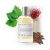 Twist Poison No. 55 – Inspired by Guc. Voice of the Snake, Long-Lasting Perfume for Women & Men, Vegan, Clean Ingredients, Oud & Patchouli Unisex Fragrance – Spray 100 ml | 3.4 fl. oz.