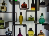Perfume Buying Guide for Beginners